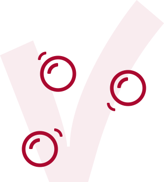 Covermij Insurances Image